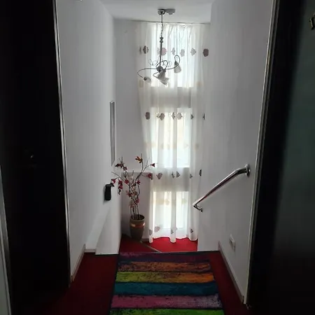 Pensiunea Riccardo Guest house