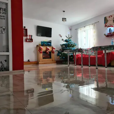 Guest house Pensiunea Riccardo 3*