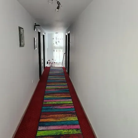 Guest house Pensiunea Riccardo 3*