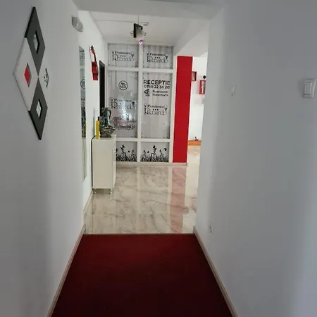 Guest house Pensiunea Riccardo